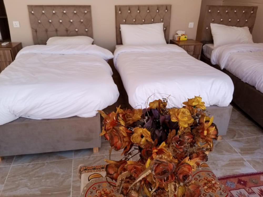 Waseem Luxury Camp Wadi Rum Ngoại thất bức ảnh